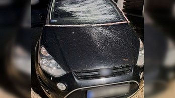 Kerti eszközökkel csépelte az autókat, majd megkóstolt egy rendőrt az ásós Rambo