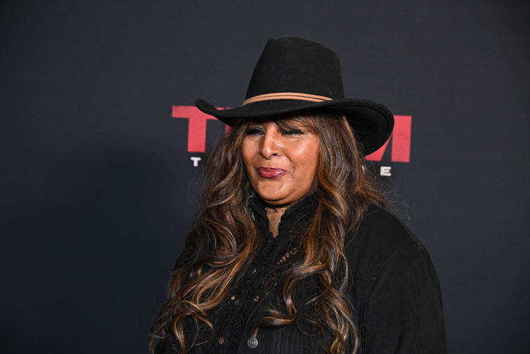 Pam Grier a 2020-as években is folytatta színészi pályafutását