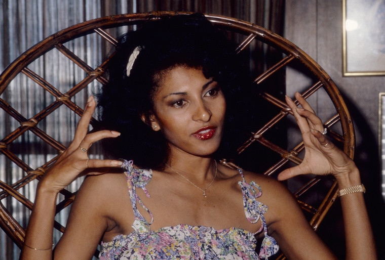 Pam GrierPam Griert, akit Jackie Brown című filmjének rendezője, Quentin Tarantino egykor a „Nők királynőjének” nevezett, a hetvenes évek blaxploitation-filmes mozgalmának egyik úttörője és legfontosabb alakja volt.