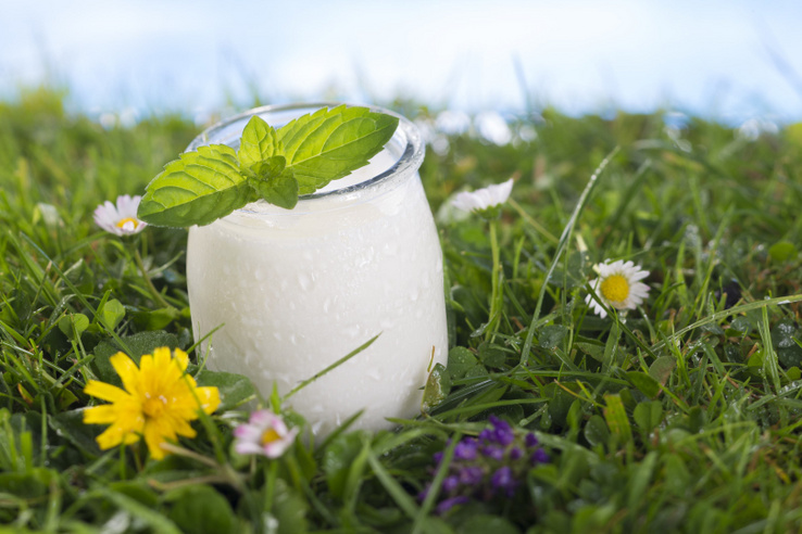 Napi egy pohár élőforrás joghurt egészségügyi előnyei