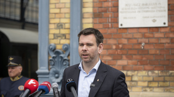 Berobbant Vitézy kérdőíve, tényleg darázsfészekbe nyúlt