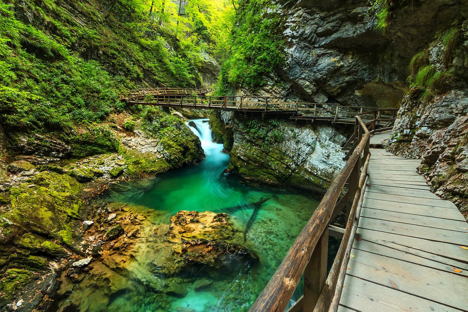 A Triglav Nemzeti Park Szlovénia egyetlen nemzeti parkja, amely az ország legmagasabb hegyéről, a 2864 méteres Triglavról kapta a nevét. A Júliai-Alpok jelentős része itt terül el. A Triglav Nemzeti Park legnépszerűbb túracélpontjai közé tartozik a Triglav csúcsa, a Bohinji-tó, a Vintgar-szurdok, a Savica-vízesés, a Hét tó völgye és a Soča folyó vidéke.