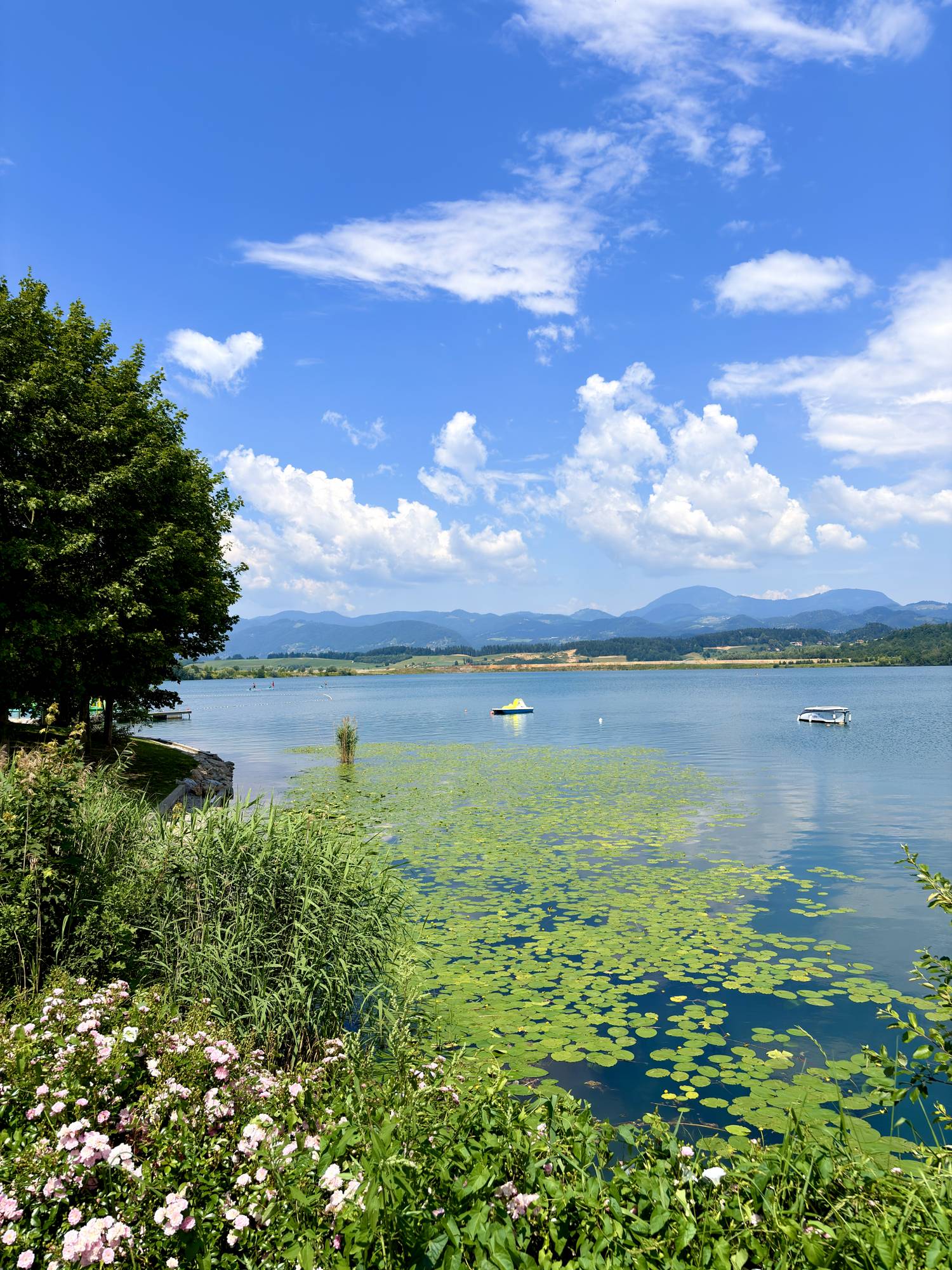 Velenje-tó