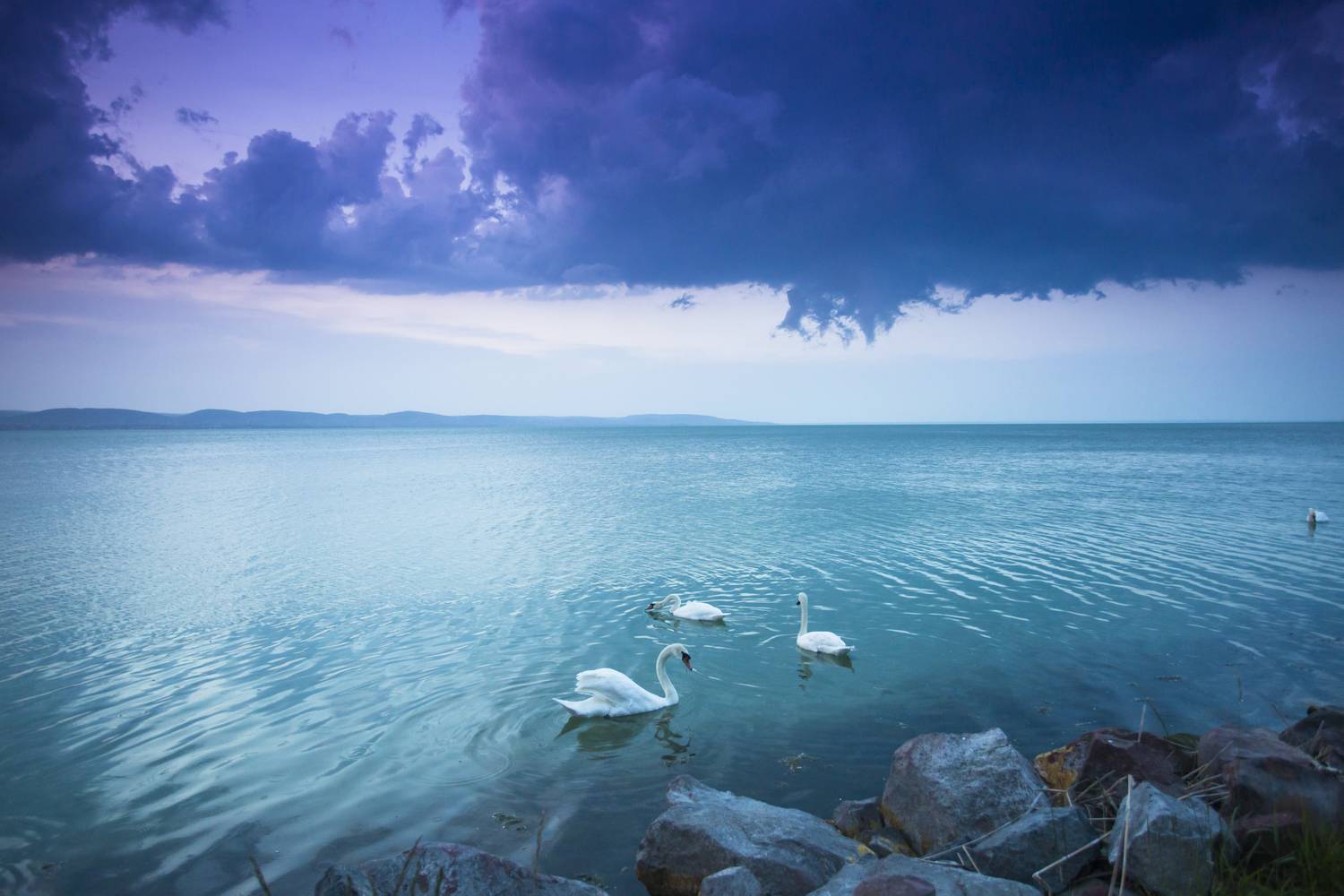 balaton vihar