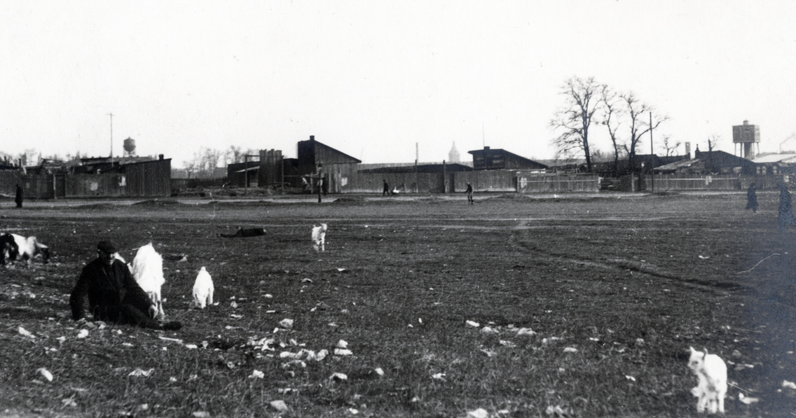 Haller utcai vásártér, szemben keresztbe a Vágóhíd utca. Háttérben középen a sertésvágóhíd víztornya, 1931