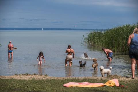 Eldőlt: felbontotta az önkormányzat a kutyás strand szerződését Keszthelyen
