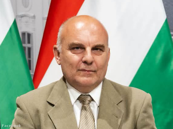 Fülöp Botond, vagyis a Vidéki prókátor