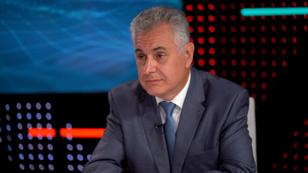 Akadozik a gázolaj-utánpótlás egyes magyar kutakon, Grád Ottó is megszólalt