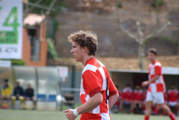 Jablko Salamon Javier