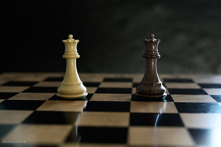 shutterstock 2721417157-(1)
