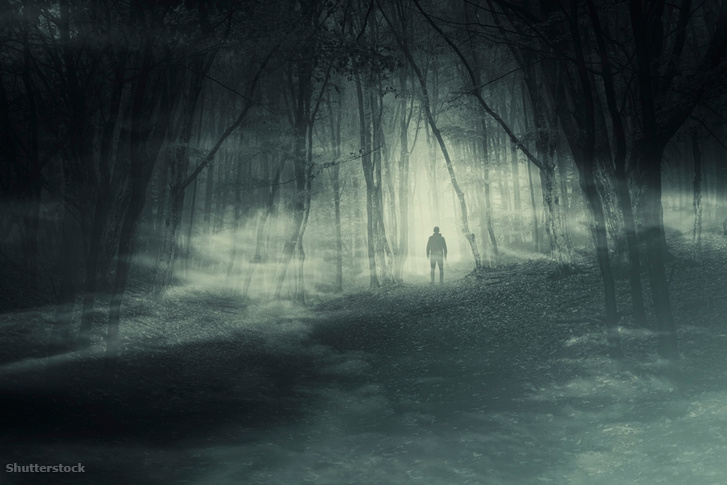 shutterstock 2419708663
