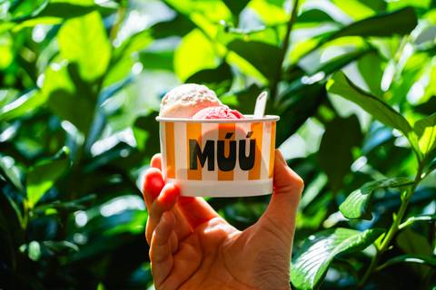 MÚÚ-nyi boldogság minden gombócban – A legújabb fonyódi fagyibár és specialty kávézó nem viccel, ha minőségről van szó
