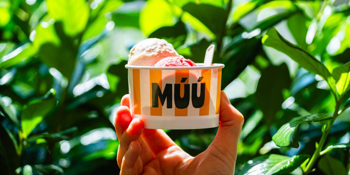 MÚÚ-nyi boldogság minden gombócban – A legújabb fonyódi fagyibár és specialty kávézó nem viccel, ha minőségről van szó