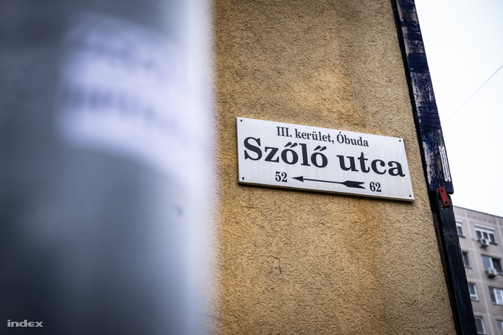 A Szőlő utcai intézet 2025. szeptember 26-án