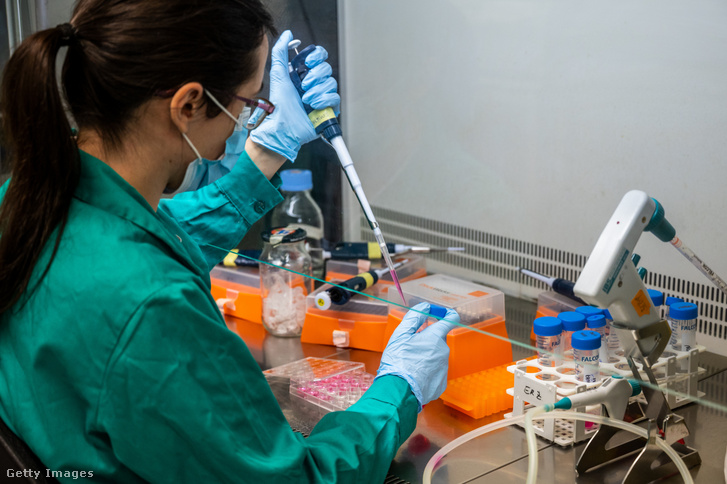 Egy kutató a Margarita Salas Biológiai Kutatóközpont (CIB-CSIC) laboratóriumában 2021. február 16-án