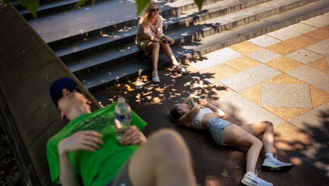Pusztító a hőség? Valójában egy kiskutyáról beszélünk, amikor azt mondjuk, hogy kánikula