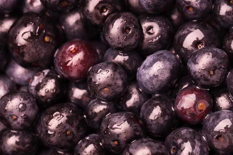 Acai bogyóAz acai bogyó rendkívül érzékeny és gyorsan romlik, ezért friss formában szinte soha nem található meg az üzletekben