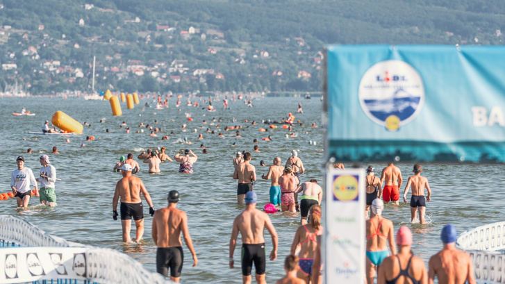 A 44. Lidl Balaton-átúszás rajtja Révfülöpnél 2026. augusztus 1-jén