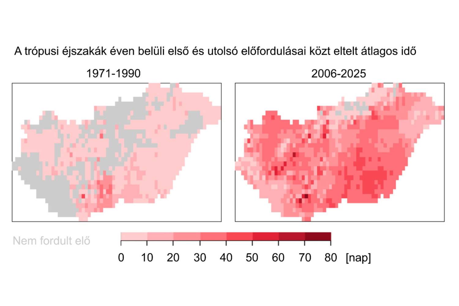 tropusi-ejszakak