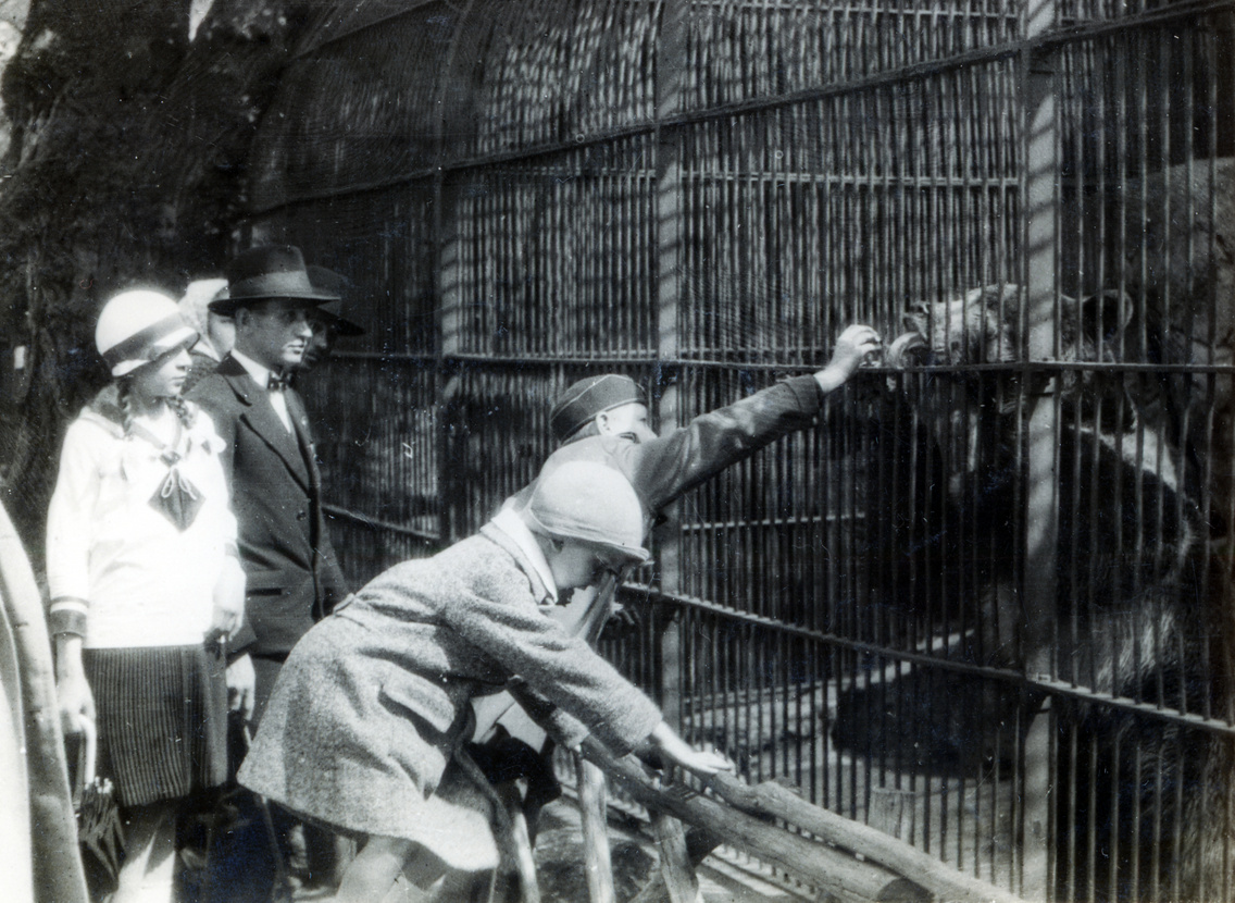1931