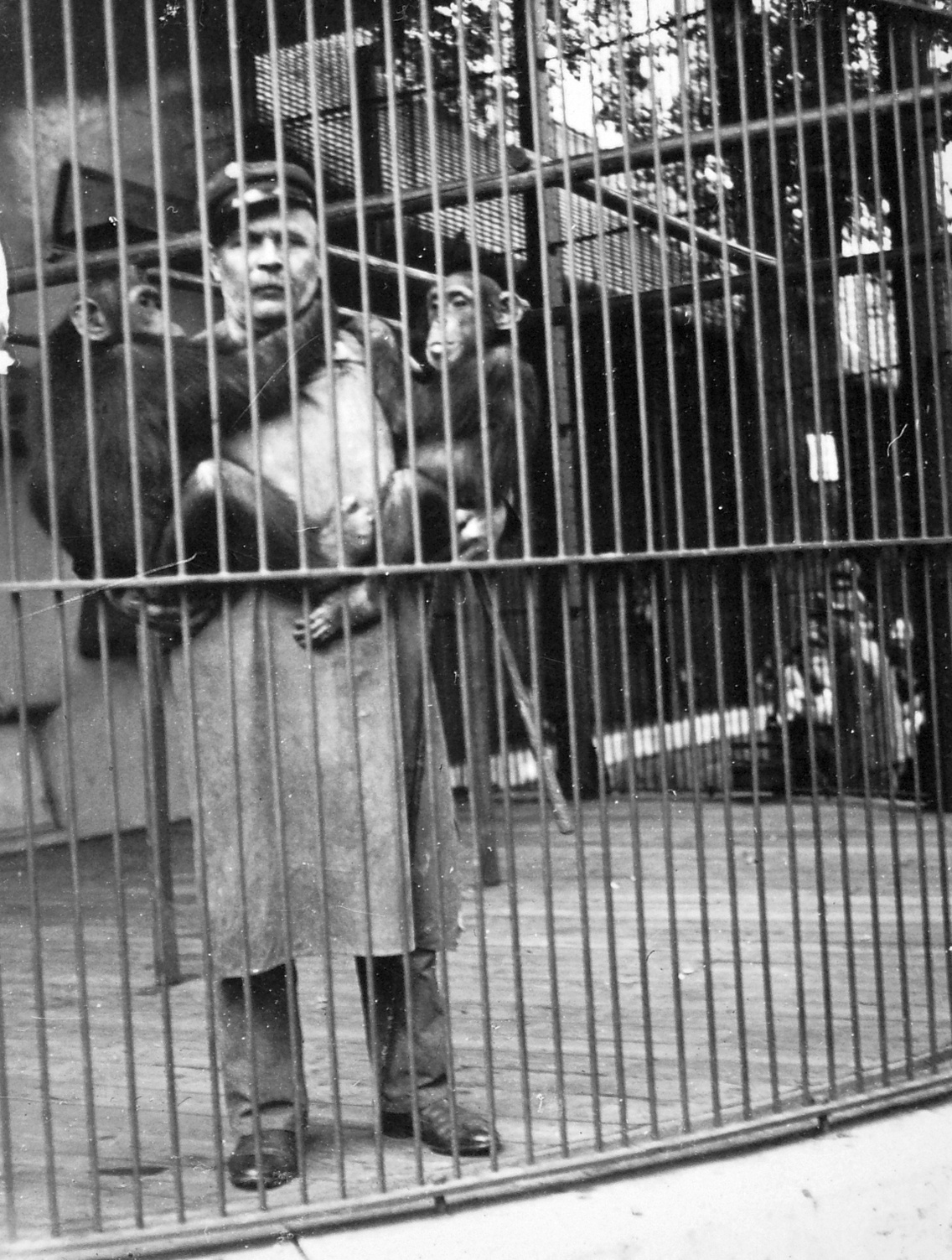1938