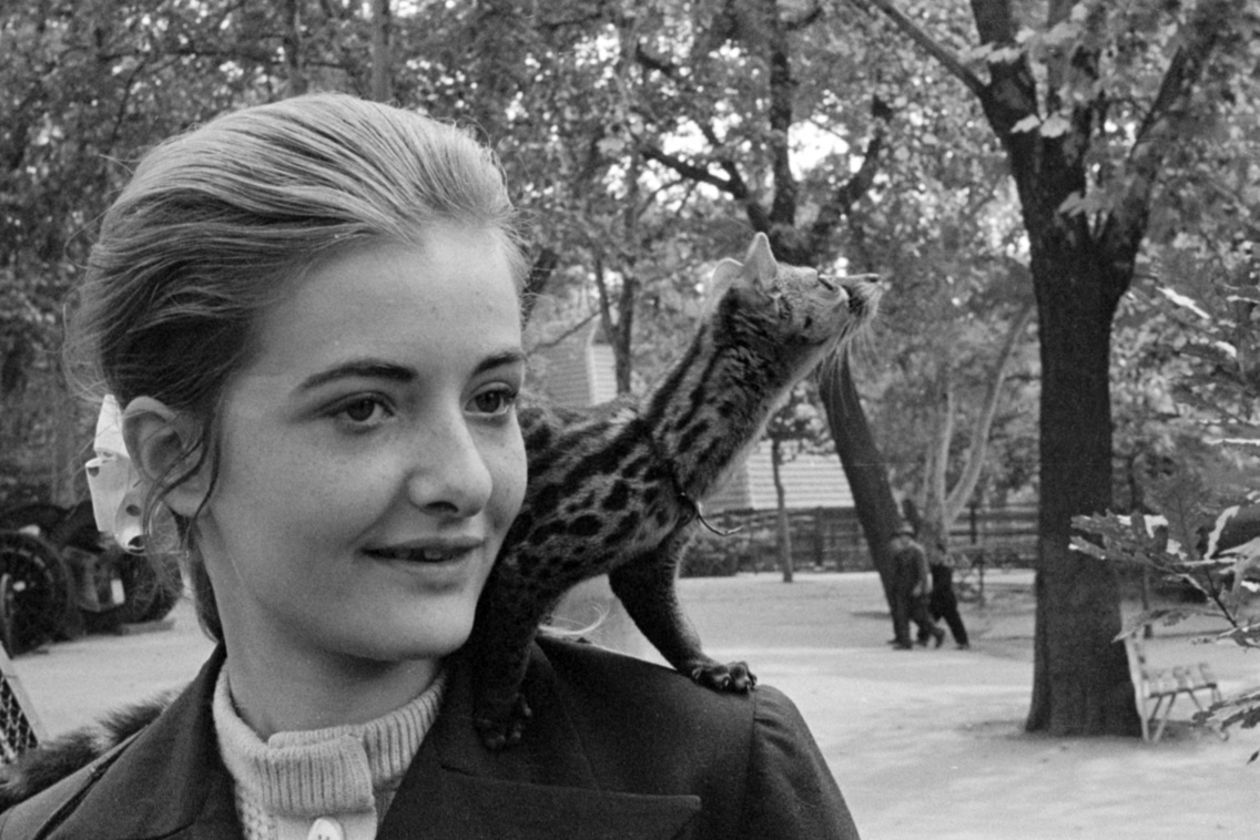 Petymeg a gondozójával, 1972