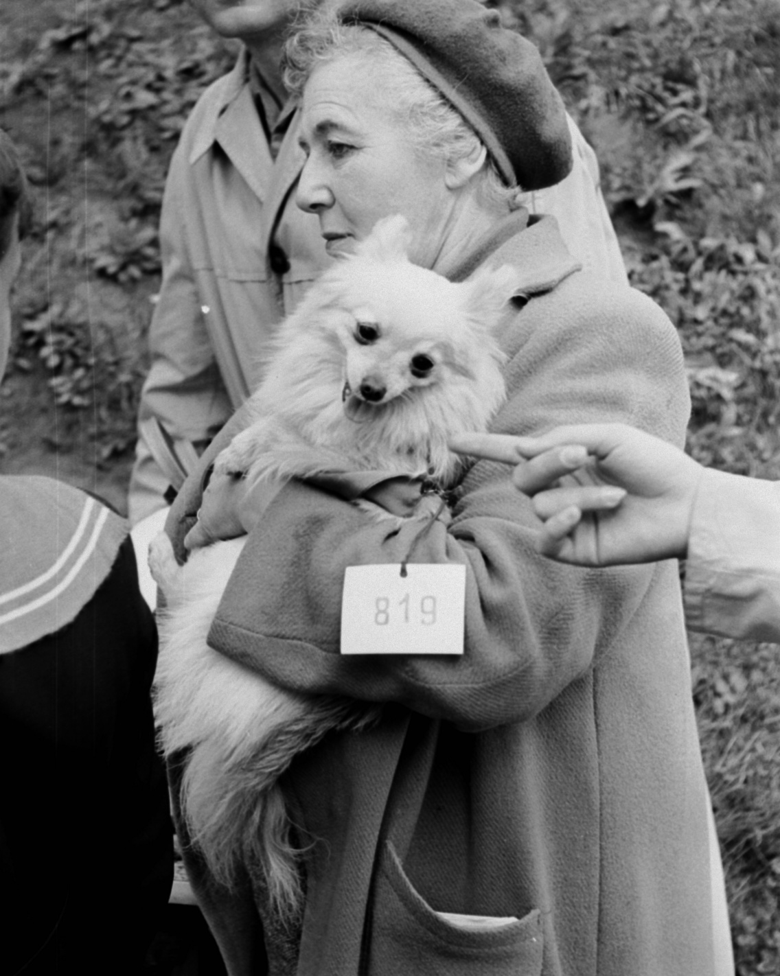 A felvétel az MEOE Országos Kutyakiállítása alkalmával készült, 1964