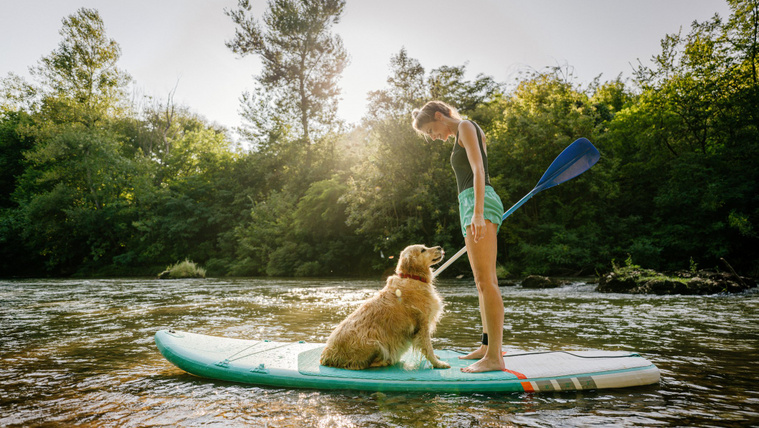 Ilyen arckifejezéseket még egy kutyától sem láttál – egy golden retriever kalandja a SUP-on
