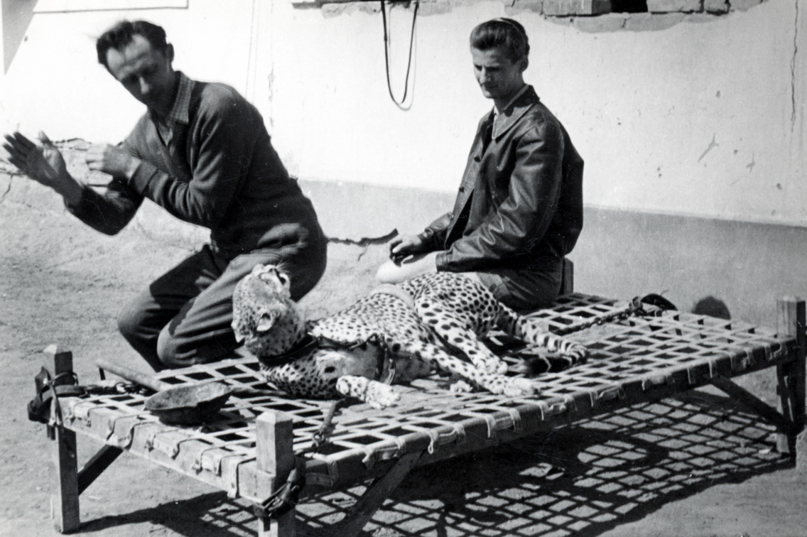 1956
