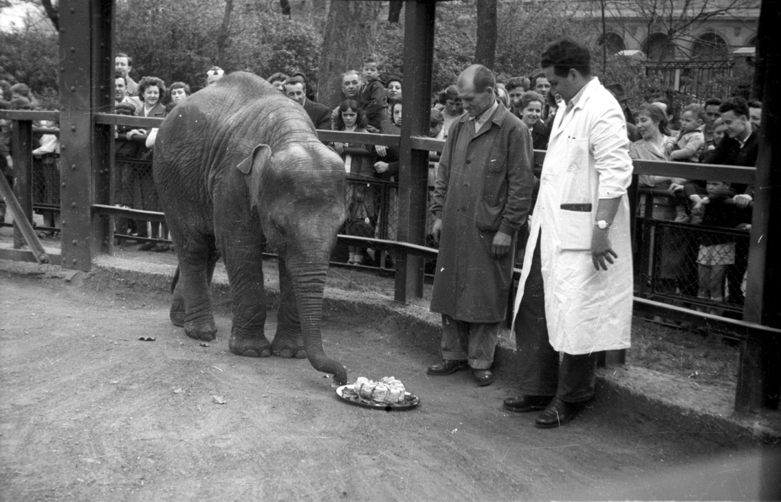 1958