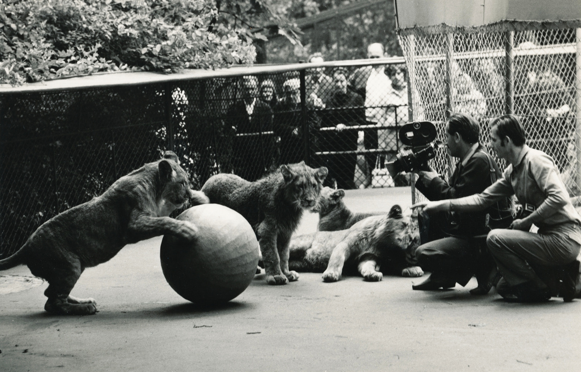 A kamerával Schuller Imre operatőr, filmrendező, 1975