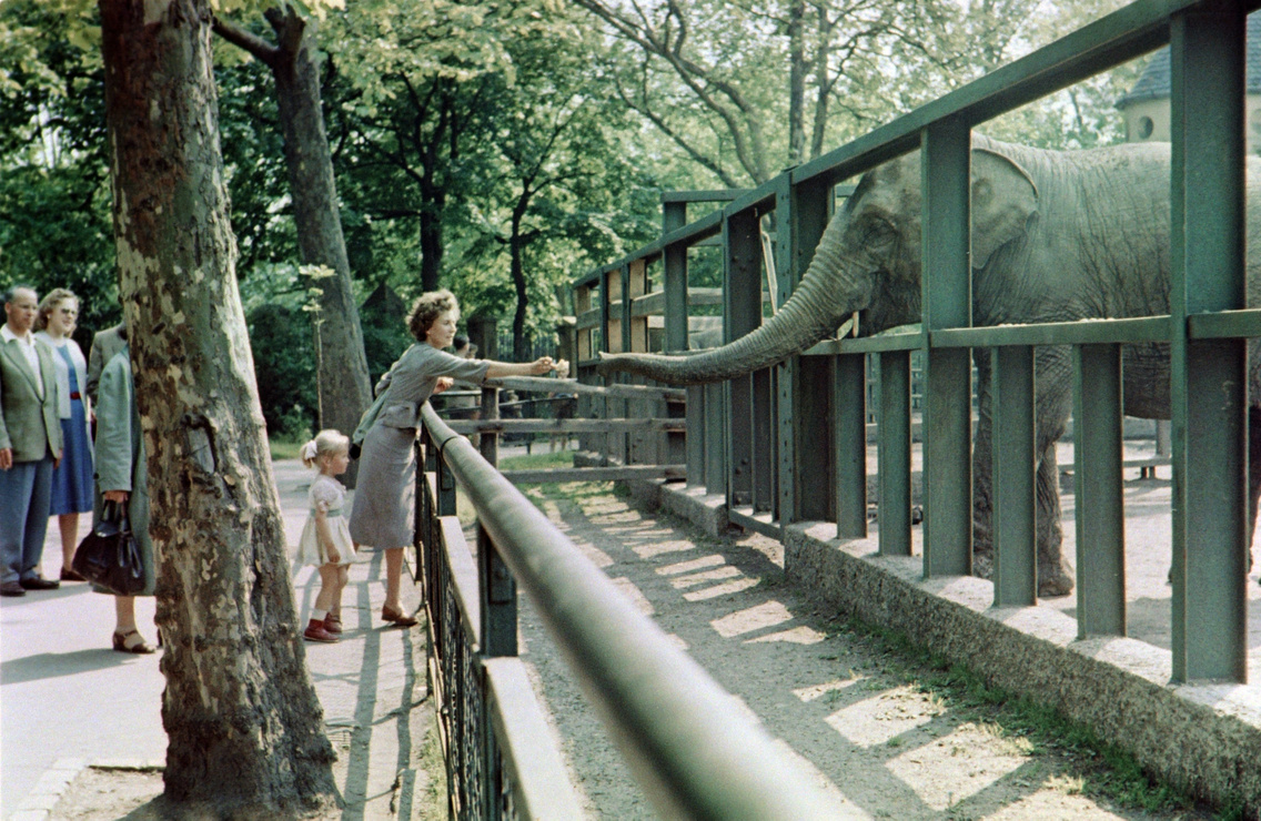 1959
