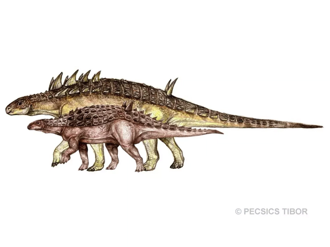 A kisebb állat a Struthiosaurus