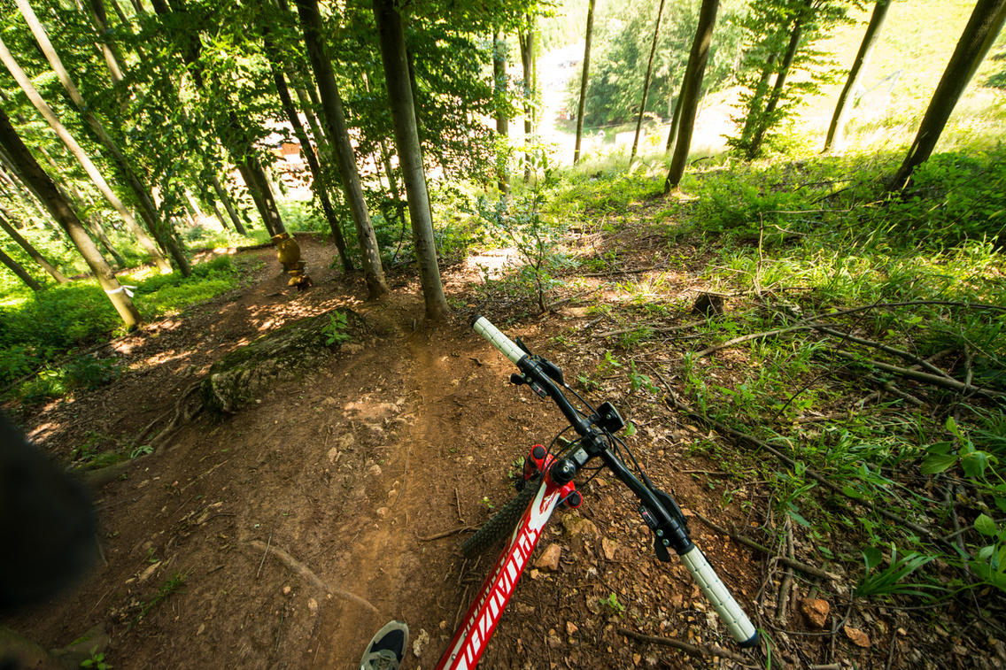 bringarena korosi-tamas 20160706