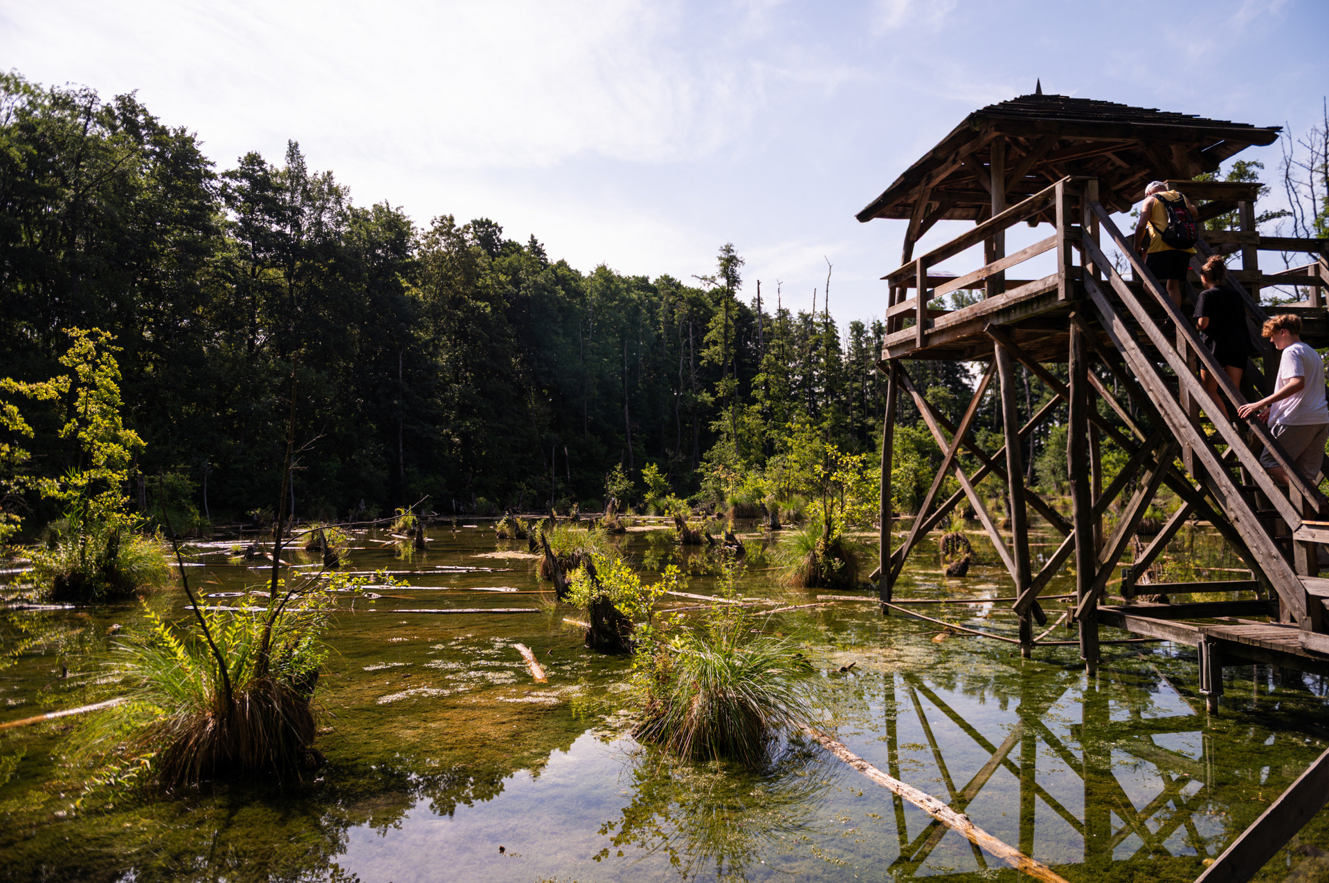 Tatai Fenyes Tanosveny 032 Medgyesi Milan 20260811