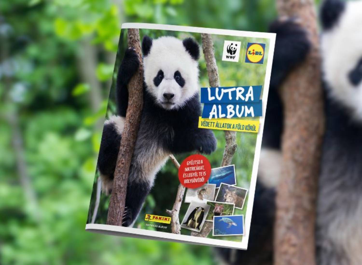 uj-lutra-album