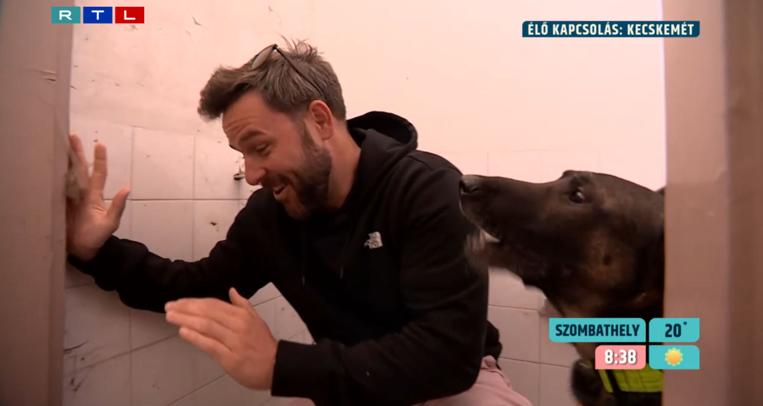 Tihanyi Péter.png