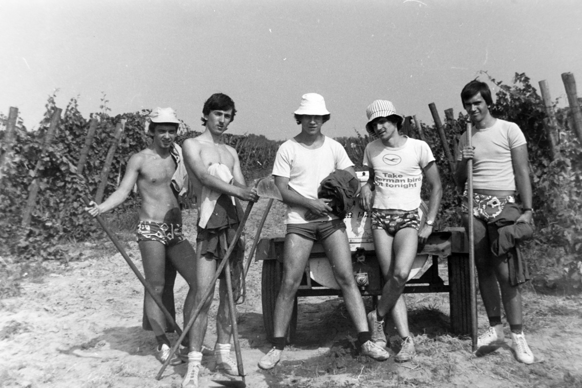 1982