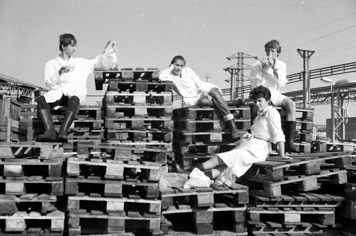 Hatvani Konzervgyár, a Bajza József Gimnázium diákmunkán részt vevő tanulói munkaszüneten, 1984