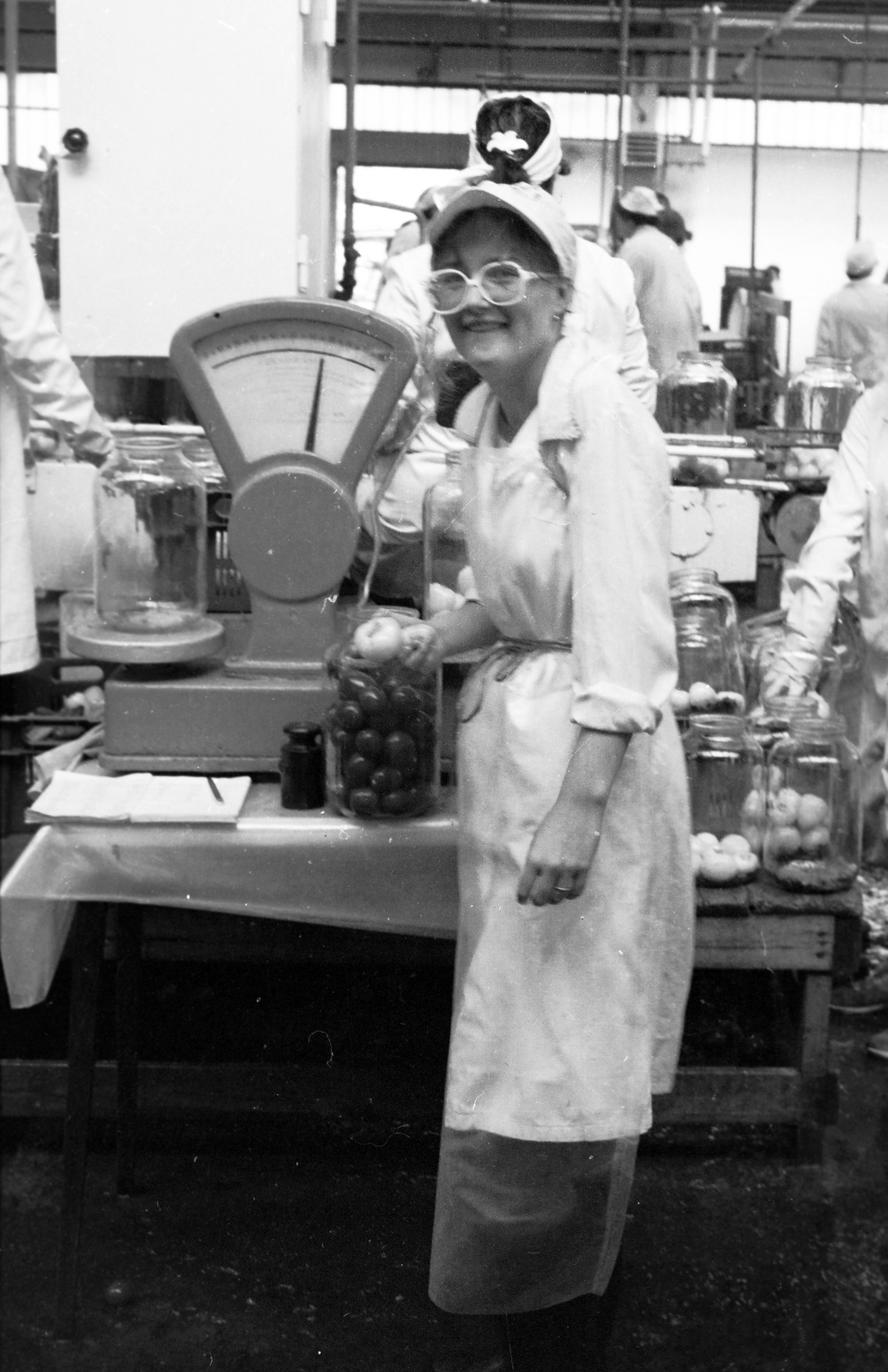 Hatvani Konzervgyár, a Bajza József Gimnázium tanulója diákmunkán, 1984
