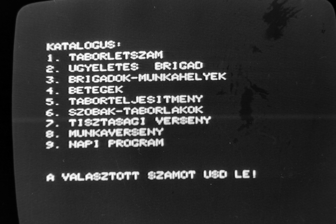 Tőserdő, a felvétel a Bagi Ilona KISZ-építőtáborban készült, 1984