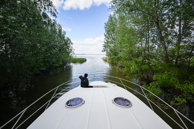 Bajban a Tisza-tó is, beavatkozásokat kell végrehajtani