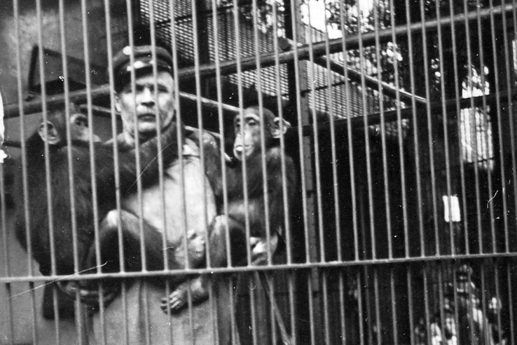 7 bizarr sztori a 160 éves Állatkert múltjából