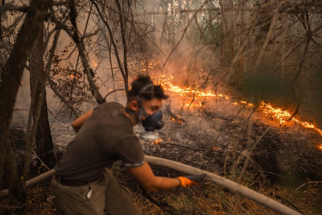 Szerbiában képtelenség megfékezni a&nbsp;tüzeket, egész falvak válhatnak a&nbsp;lángok martalékává