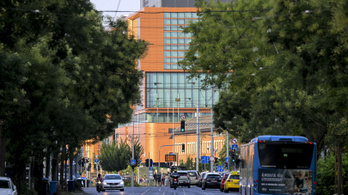Mindenki kiszáll: csődeljárást kezdeményezett maga ellen a Bayer Construct
