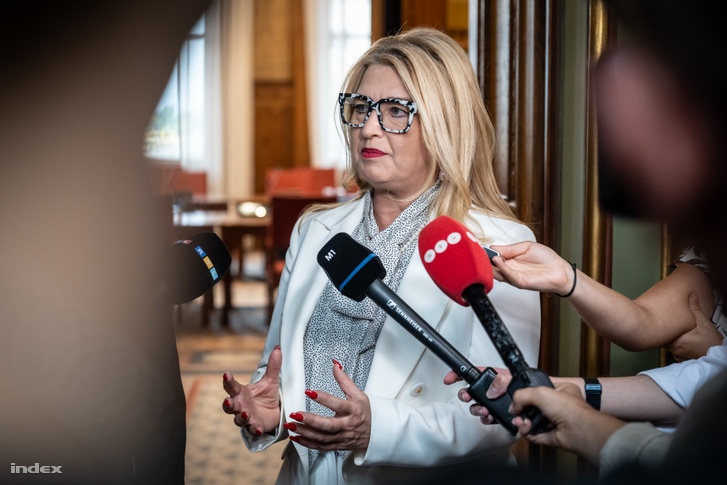 Hallerné Nagy Anikó