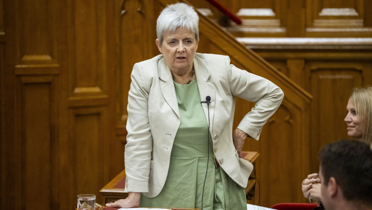 Nagytakarítást jelentett be a minisztérium a felsőoktatásban, a tagok 98 százalékát lecserélik