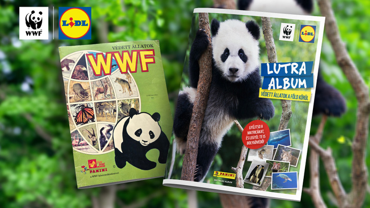 WWF Lutra album - régi és új
