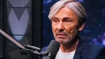 Náray Tamás: Fideszes körök akartak pénzt átfolyatni a cégemen