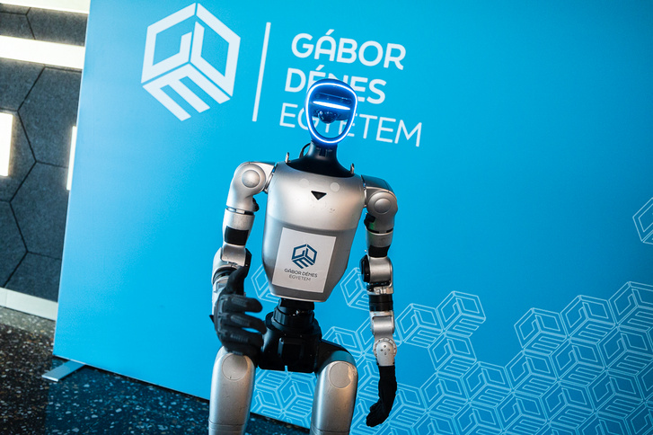 GDE humanoid robot
